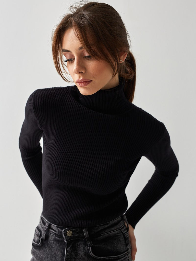 Fitted Ribbed Turtleneck Sweater in Black — front view