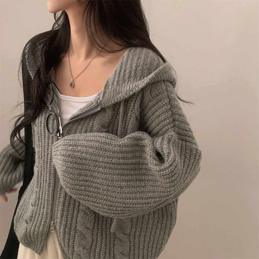 Chunky Cable-Knit Hooded Zip Cardigan in Light Gray — front view on model