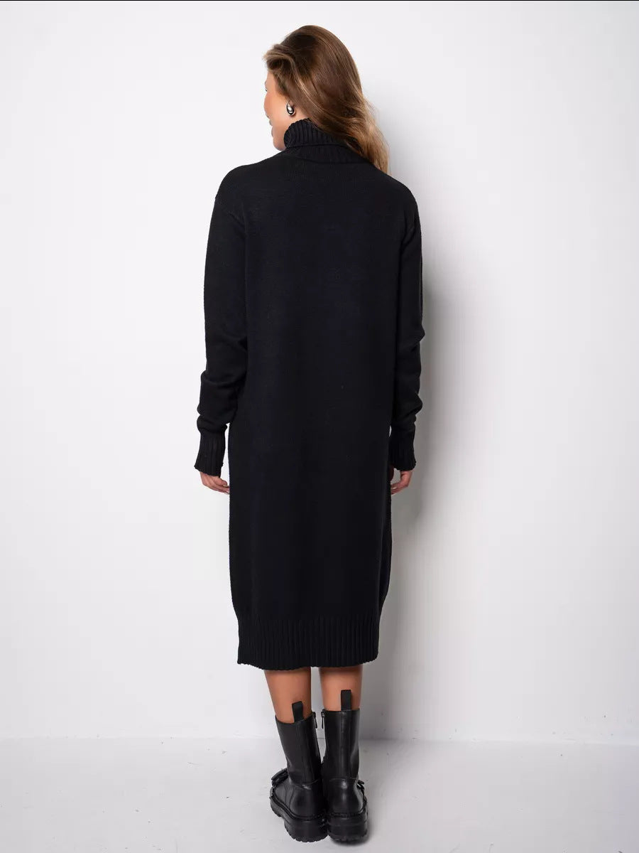 Relaxed Turtleneck Sweater Dress in Black — back view