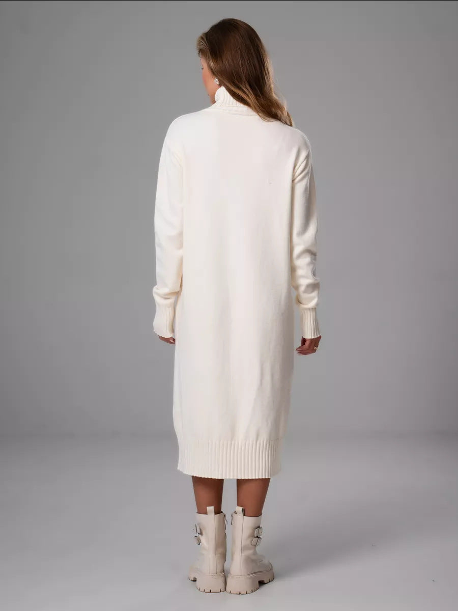 Relaxed Turtleneck Sweater Dress in Ivory — back view