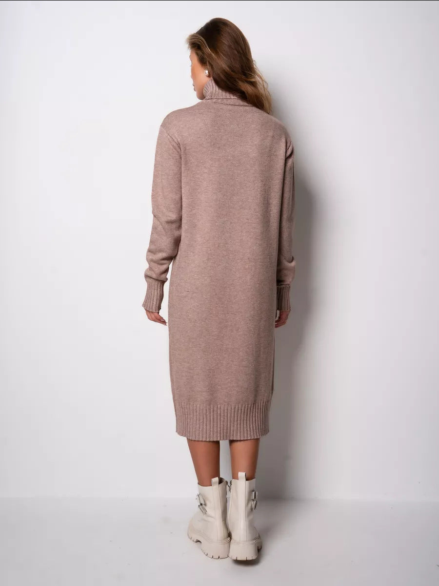 Relaxed Turtleneck Sweater Dress in Taupe — back view